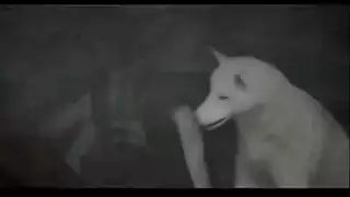 سكرتيرة لاتينية ممتلئة الجسم تُمارس الجنس بقوة في مكتبها للمتعة