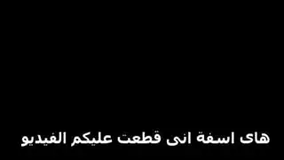 دانا المصرية مع الشيمل