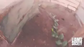 تزاوج حظيرة: الأخ يملأ فرج أخته المبلل