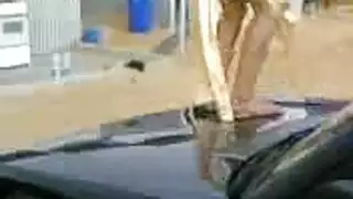 خيال جنسي في السيارة منفلت