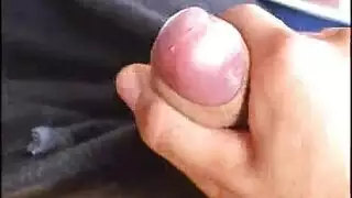 سکس حيوان