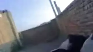سكس عراقي خام: مص وقوف كلب