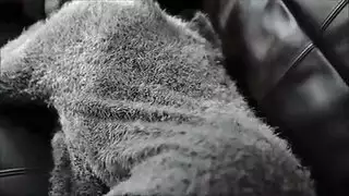 رومانسية إكس إكس إكس: كلام فاحش وجنس صريح