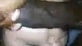 مضاجعة أكبر المؤخرات المكتنزة في المجال
