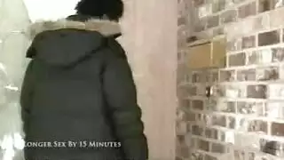 كلاب مثيرة تصرخ أثناء الجماع