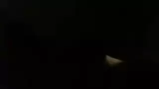العازبون من خشب الأبنوس على أهبة الاستعداد ويظهرون الوقت