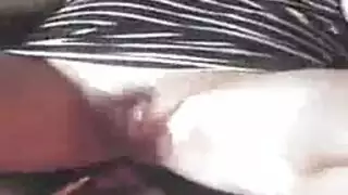 ميلف هندىه