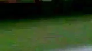 تجميع لعملية جماعية جنسية برية سودانية