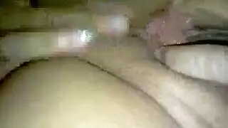 فيدبوجنس طويل
