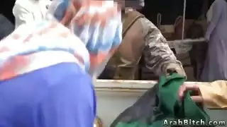 الوردي الهرة عرقي شقي