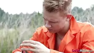 سسسسيسسسسسسسسذيسسسسسسس