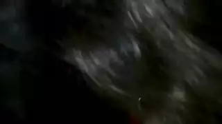 قافذ