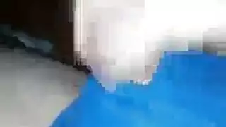 السيدات قرنية فرك الهرات الخاصة بهم بجانب بعضها البعض أثناء انتظار الحصول على مارس الجنس