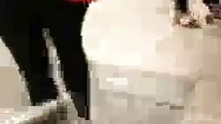 مثير كبير الحمار الفرخ باللون الأسود هو الحصول على جرعةها اليومية من الجنس البري