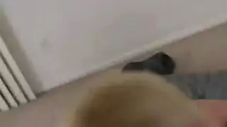 يأخذ شقراء جديدة طلقة اثنين من أباريق ويعود إلى أول تجريب دسار لها