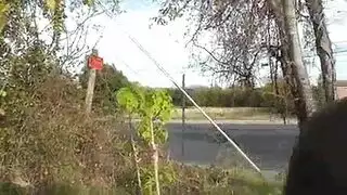 فتاة شقية في فستان أحمر ، أنيتا تايلور تحب اللعب مع الديك الأسود الكبير