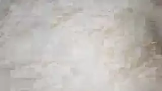 ذهب زوجان هواة إلى حديقة غريبة لبدء استكشاف بعض الملذات البرية باستخدام لعبة جنسية واحدة محظوظة