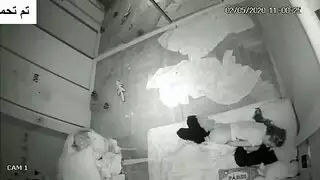 فتاة تمارس العادة السرية في غرفة نومها و عندها كلاب صغيرين تجعلهم يلحسون كسها