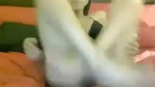 الكلبة السوداء، جيممة فالنتين يعرف أن رئيسها الوسيم على وشك القذف عميقها داخلها.