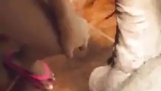 اوسخ سكس مصرى ممكن تشوفه سيد شغال نيك فيها فى رمضان و الشرموطة تقوله بالراحة طيب الجيران هتسمعنا