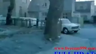 تخان ستات