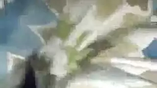 جمعت كايلي كيا جميع رفاقاها المثيرات وكان لديهن العربدة في استوديو ضخم