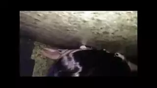 جنس تيك لواط اول مره شاذ في النادي