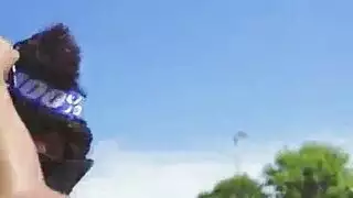 موسيقى عشاق حافلة