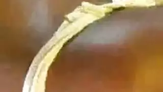 علاقة جماعية في العلن مع خنق الوجه بالثدي