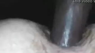 جلسة لعق جماعية: رجل واحد يتحكم بجميع الأخوات الشهوانيات