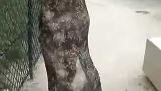 امرأة ذات شعر أحمر في أسلاك التسليم مصنوعة ، تحب blache bradburry الحصول على ملعقة لها ثم الجنس