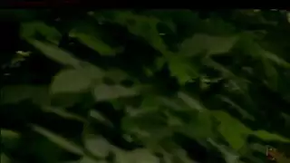 ثلاثي بين الأعراق إباحي: إيلاج مزدوج جماعي