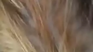 وحيدًا مع الوسيم العراقي ناجس لجلسة شرجية صريحة