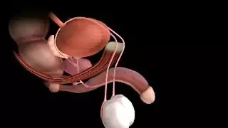 الخ والختة في البيت لوحدهم سكس مترجم