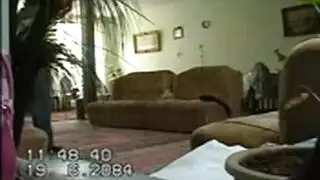 نيك شرموطة مصرية واهات